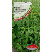 Stewia (Stevia rebaudiana) - 10 sztuk