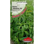 Stewia (Stevia rebaudiana) - 10 sztuk