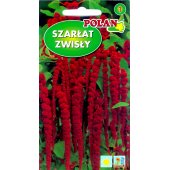 Szarłat zwisły (Amaranthus caudatus) - 2 g