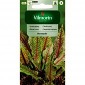 Szczaw gajowy BLUTAMPFER (Rumex sanguineus) - 0,2 g