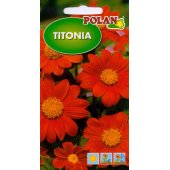 Titonia pomarańczowa (Tithonia rotundiflora) - 1 g 