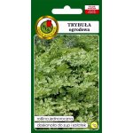 Trybuła ogrodowa (Anthriscus cerefolium) - 1 g