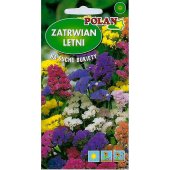 Zatrwian letni (mieszanka) (Limonium sinuatum) 0,5 g