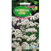 Zatrwian wrębny (biały) (Limonium sinuatum) - 0,5 g