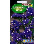 Zatrwian wrębny (niebieski) (Limonium sinuatum) - 0,5 g