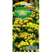 Zatrwian wrębny (żółty) (Limonium sinuatum) - 0,5 g