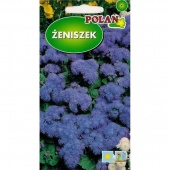 Żeniszek (niebieski) (Ageratum houstonianum) - 300 mg 